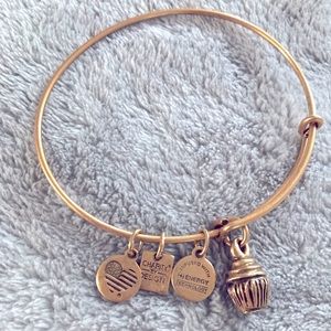 Alex and Ani Cupcake Charm bangle